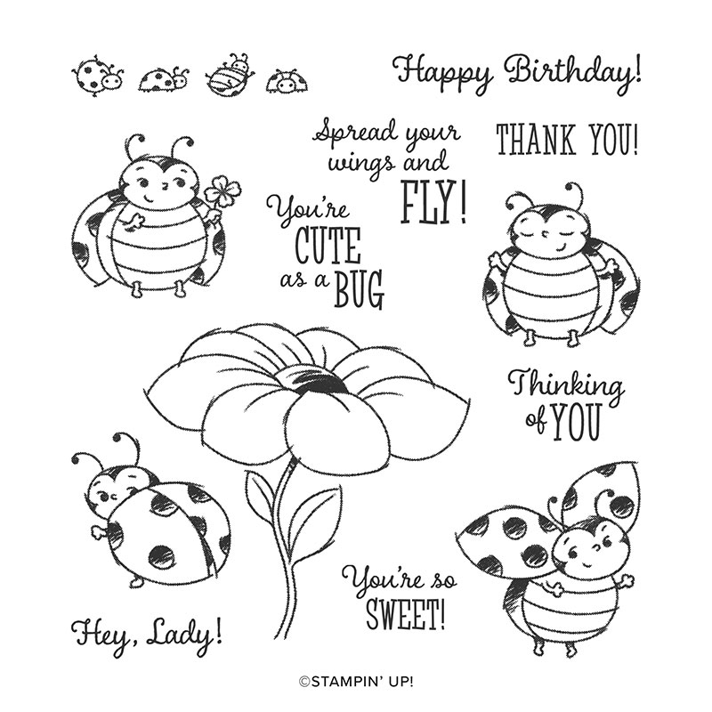 Little Ladybug Stamp Set