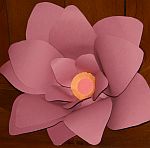 Giant paper flowers