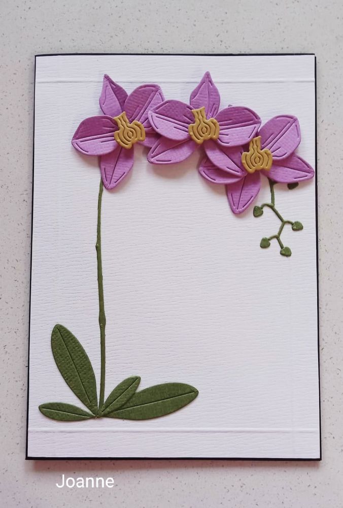 June Card Ideas