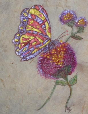 Flower and Butterfly card front