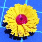 Quilled paper flowers