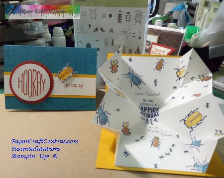 Special Card Fold 'Beetles and Bugs' Explosion Card