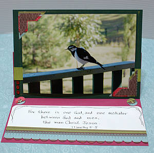 easel cards