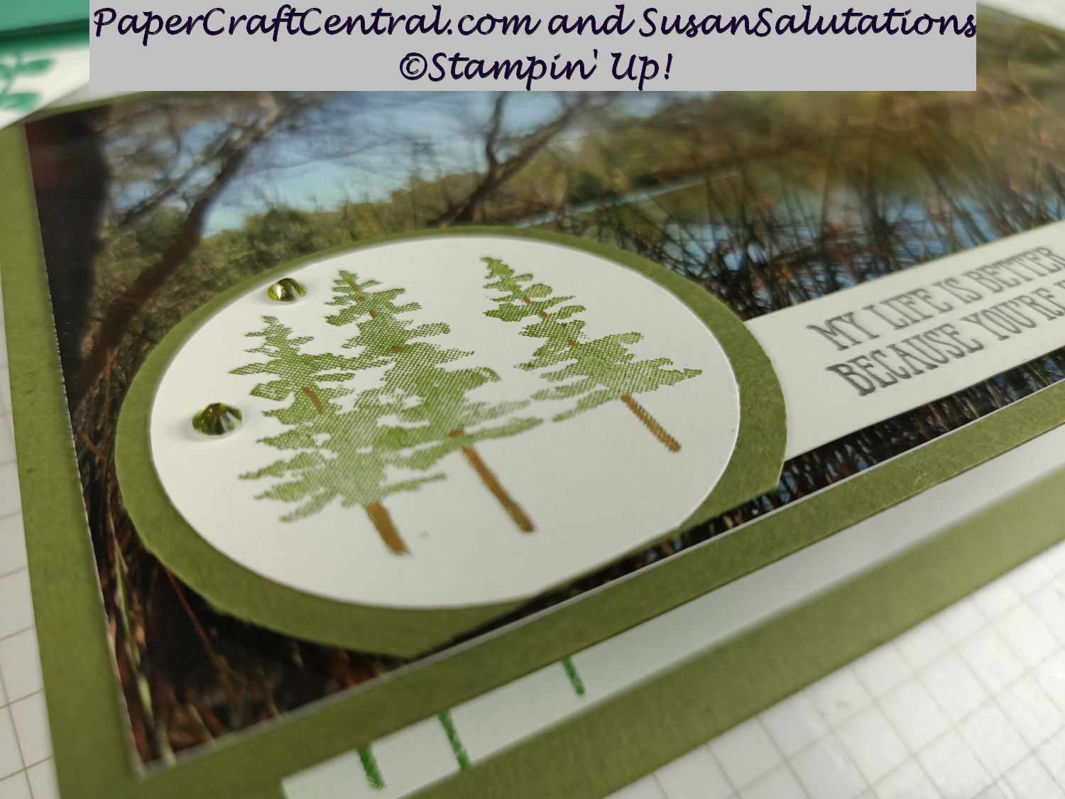 I love how the stamped images enhance my personal photo. The card base is made from Mossy Meadow cardstock and I stamped in that colour too. I added touches of Cinnamon Cider to the tree trunks. Rooted In Nature meets Well Said
