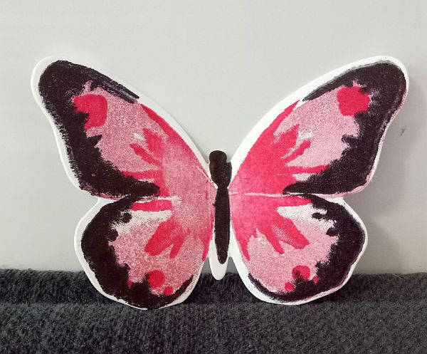 Bold butterfly