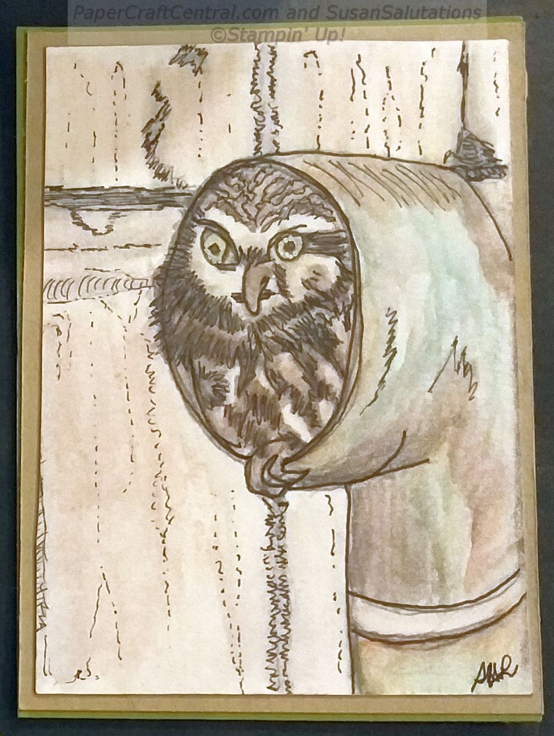 ATC Owl